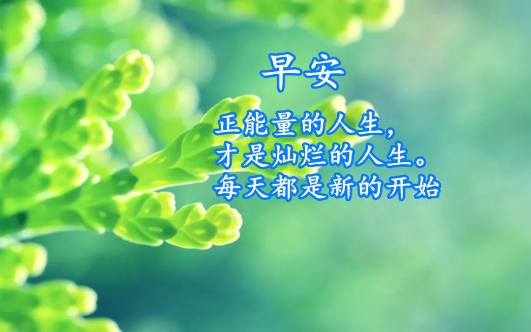 最新早安正能量励志句子激励心灵