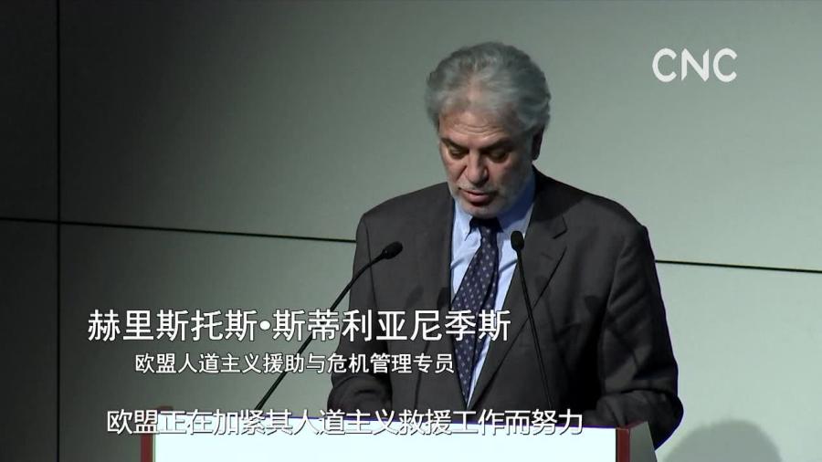 全球粮食危机最新消息，严峻挑战下的全球背景分析