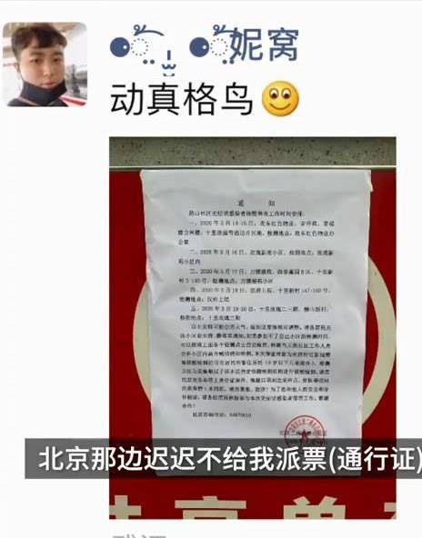 最新核酸检测报告，探索自然美景，寻找内心平和与宁静之旅
