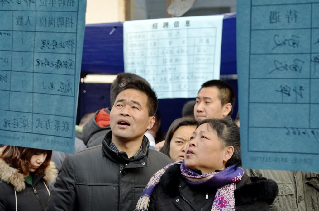 河北人才网最新招聘信息全面概览