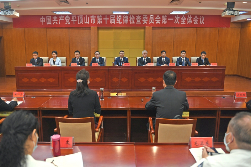 平顶山纪检委最新动态，小巷深处的独特风味