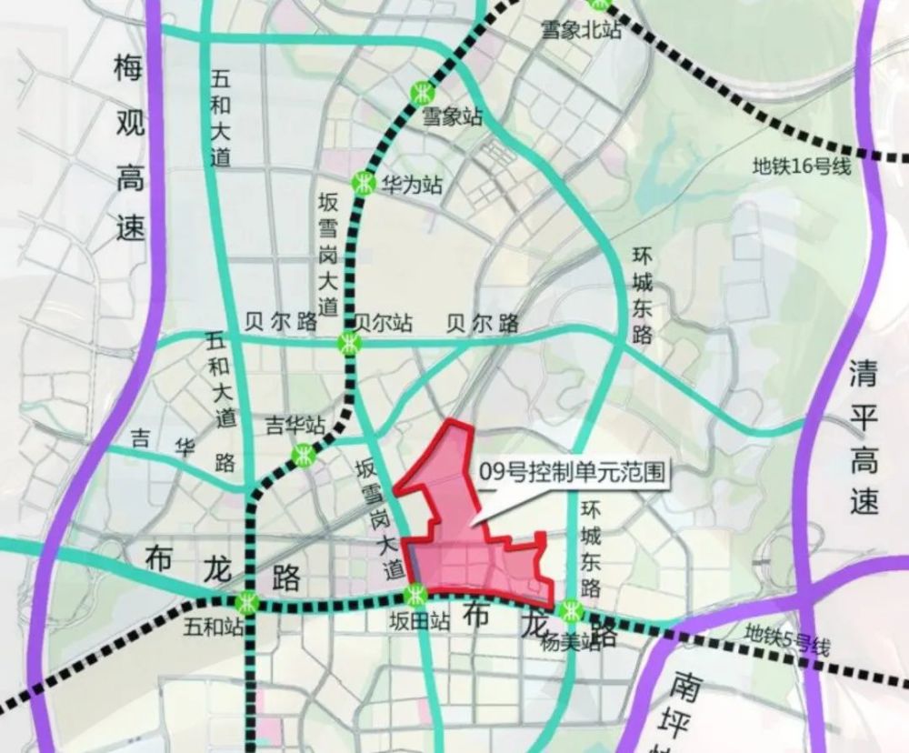 新泰市张宸之旅，探寻自然美景的最新进展揭秘