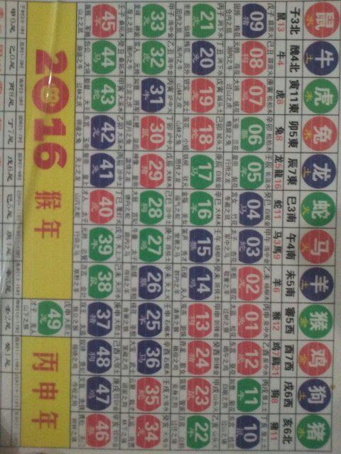 2024十二生肖49码表,全免费指南详解_装饰版95.980