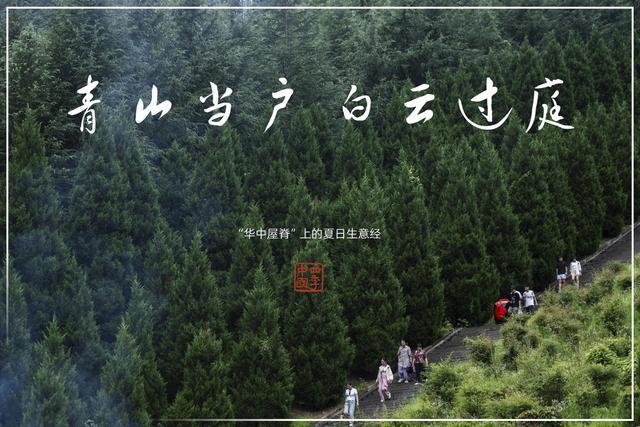 平顶山立威山最新动态，夏日奇遇揭秘立威山新面貌