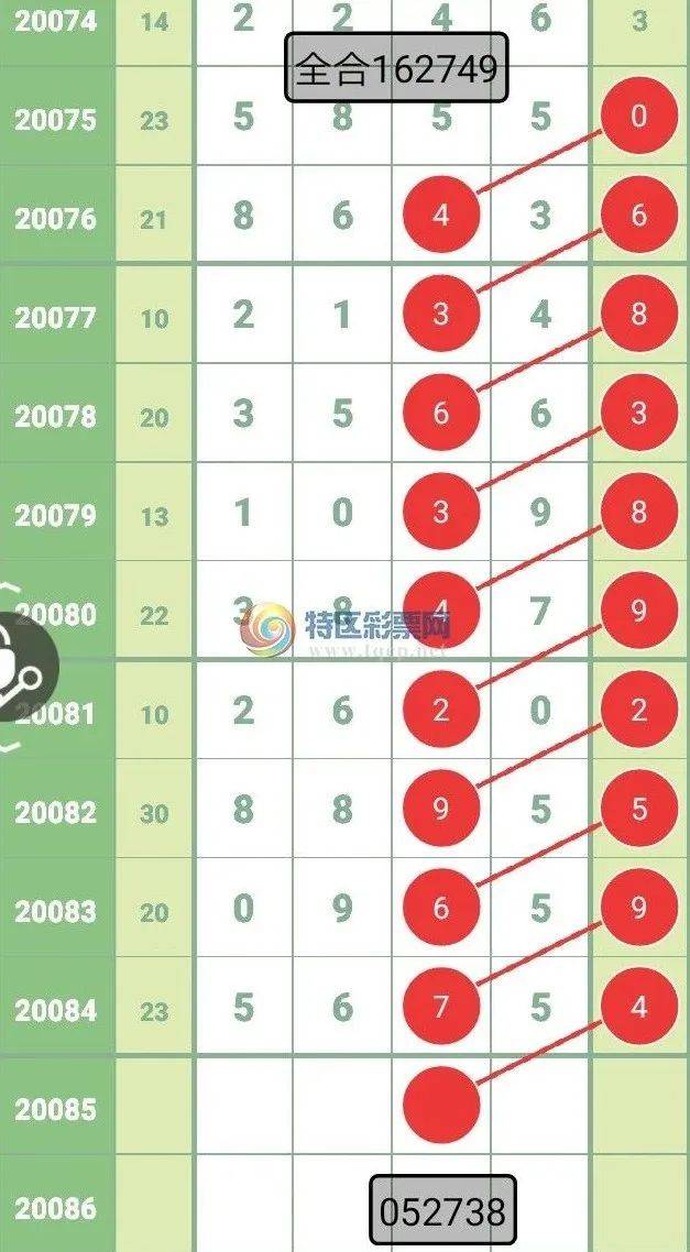 2024年新奥特开奖记录查询表,全身心数据指导枕_娱乐版95.660