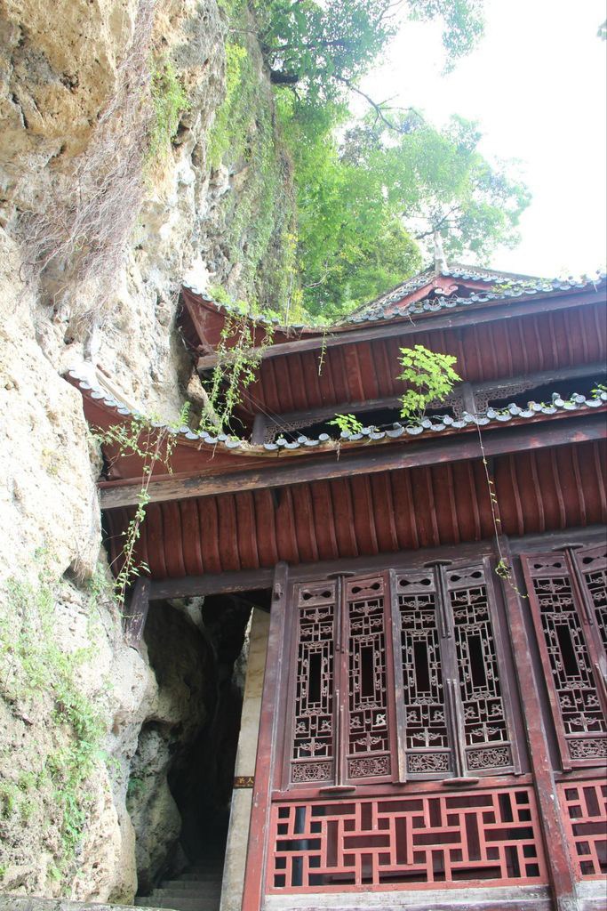 鲁山道小二楼最新消息详解，步骤指南与更新动态