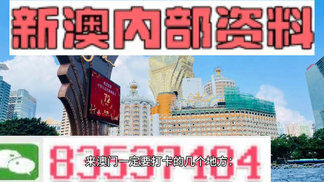 2024新澳门正版免费资木车,深入挖掘解释说明_轻奢版95.892