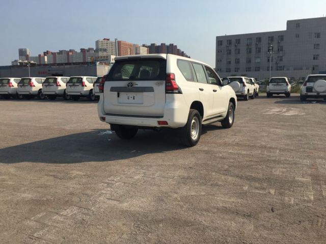 第1204页