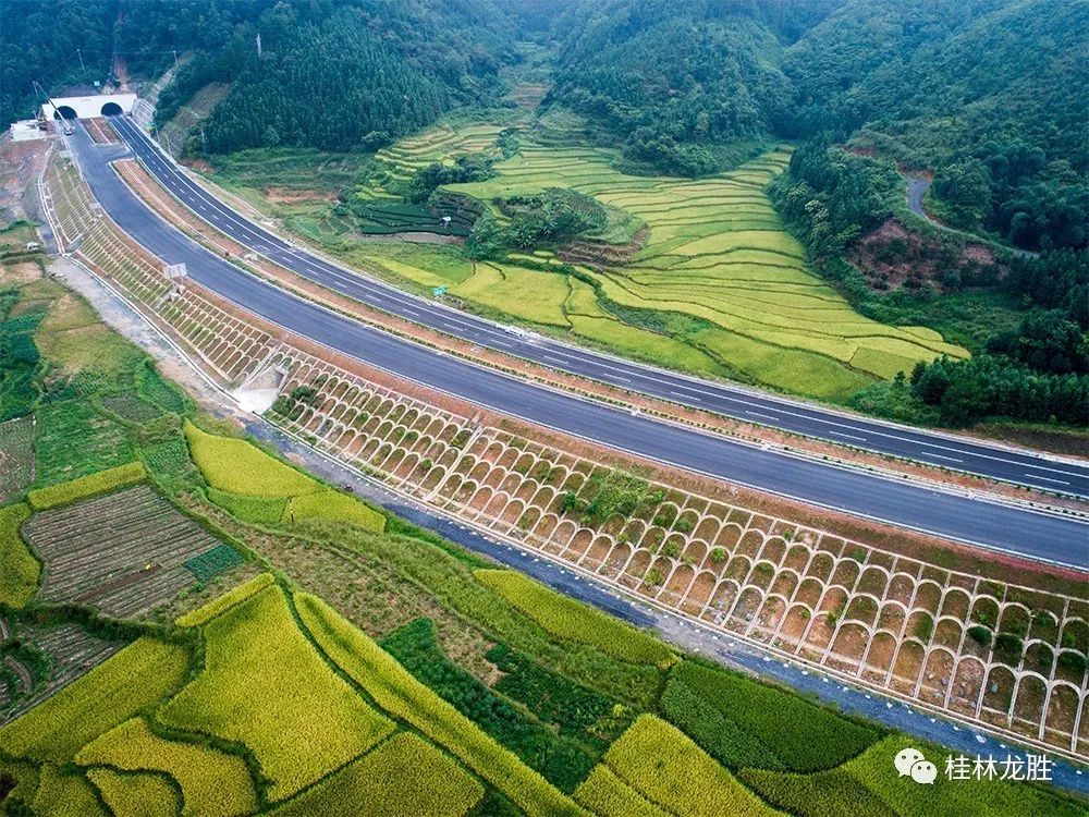 桂三高速公路最新动态，进展顺利，驾车新选择🚗🛣️