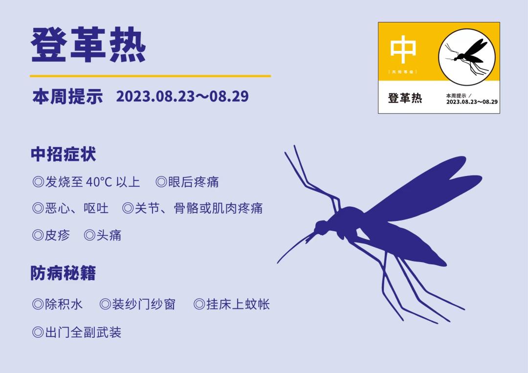 孟加拉国最新疫情动态，日常抗疫中的爱与陪伴的力量