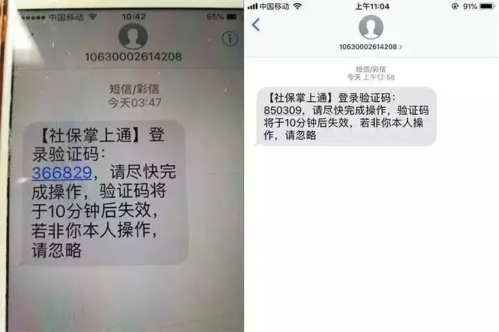 社保掌上通最新版，小巷深处的神秘宝藏与特色小店的奇妙故事