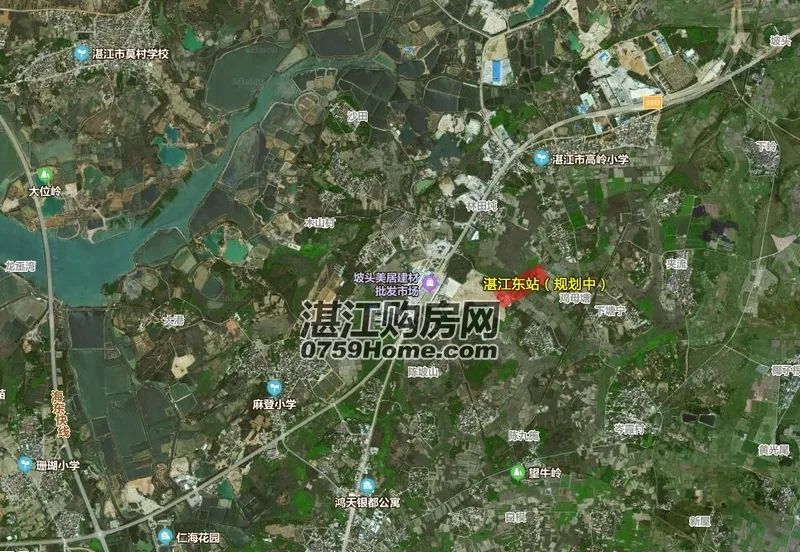 廉江市最新发展概况与成就概述