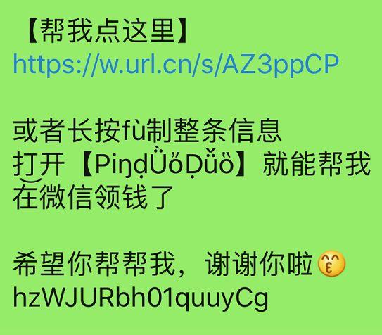 乐拼最新进展，友情、欢笑与陪伴的温馨篇章