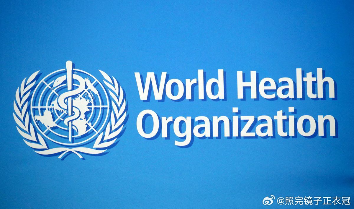 世卫组织最新官网消息更新，全球卫生动态速递