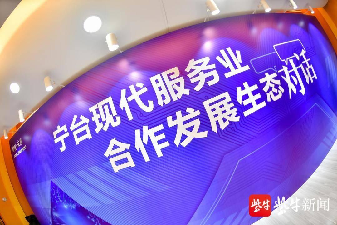 信息发展的最新进展，深度探讨与前沿洞察
