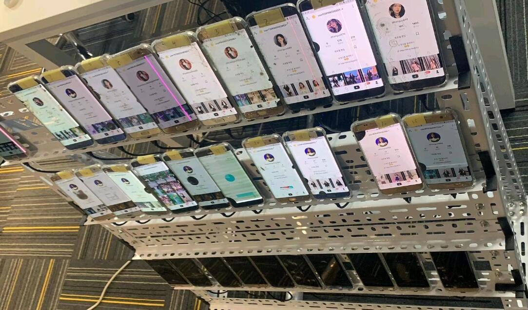 美国抖音最新动态与趋势探索，TikTok的新消息与流行趋势
