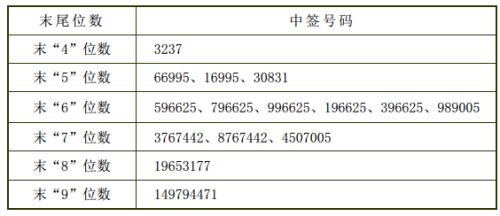 最新股票申购中签攻略，步骤指南