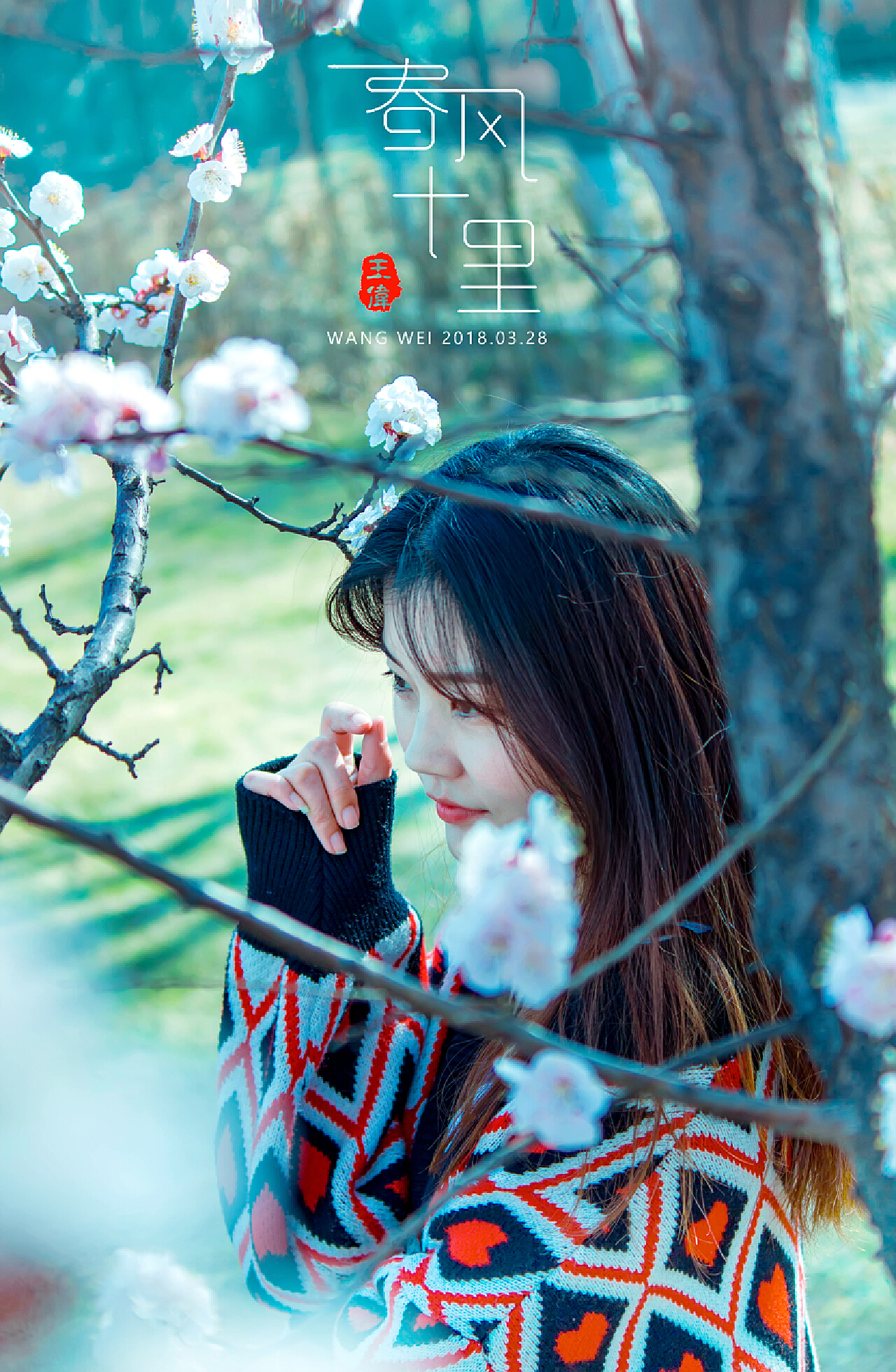 春风十里最新，新生之风的魅力与变迁的探秘