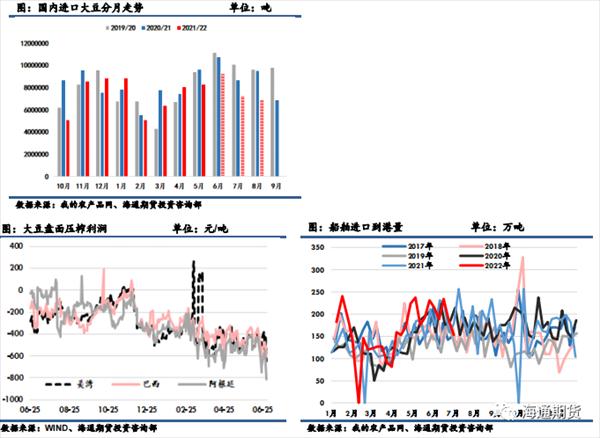 今日豆粕价格走势预测及分析