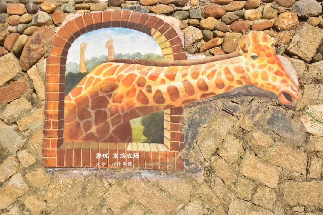 现代诗作家探寻自然美景，心灵之旅追寻平和