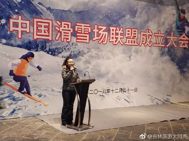 驼冰最新版的背景、发展、影响与地位概述