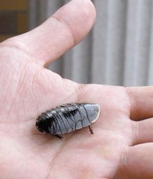 承配件制造 第146页