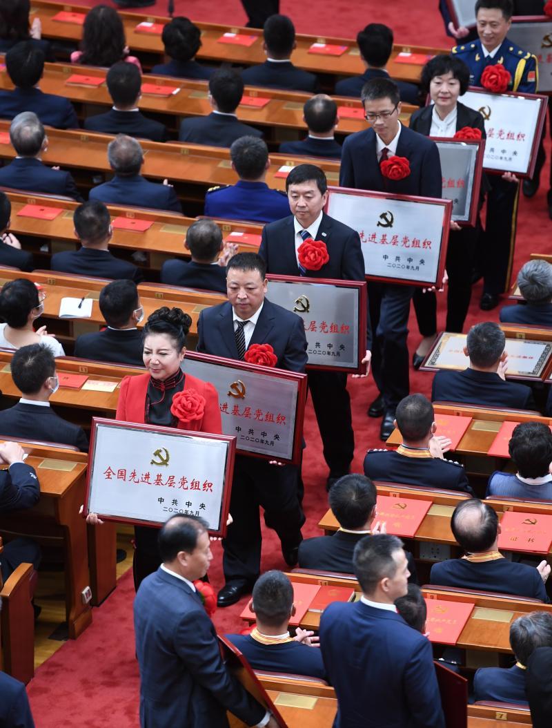 全国肺炎疫情最新动态，学习变迁中的信心与成就力量