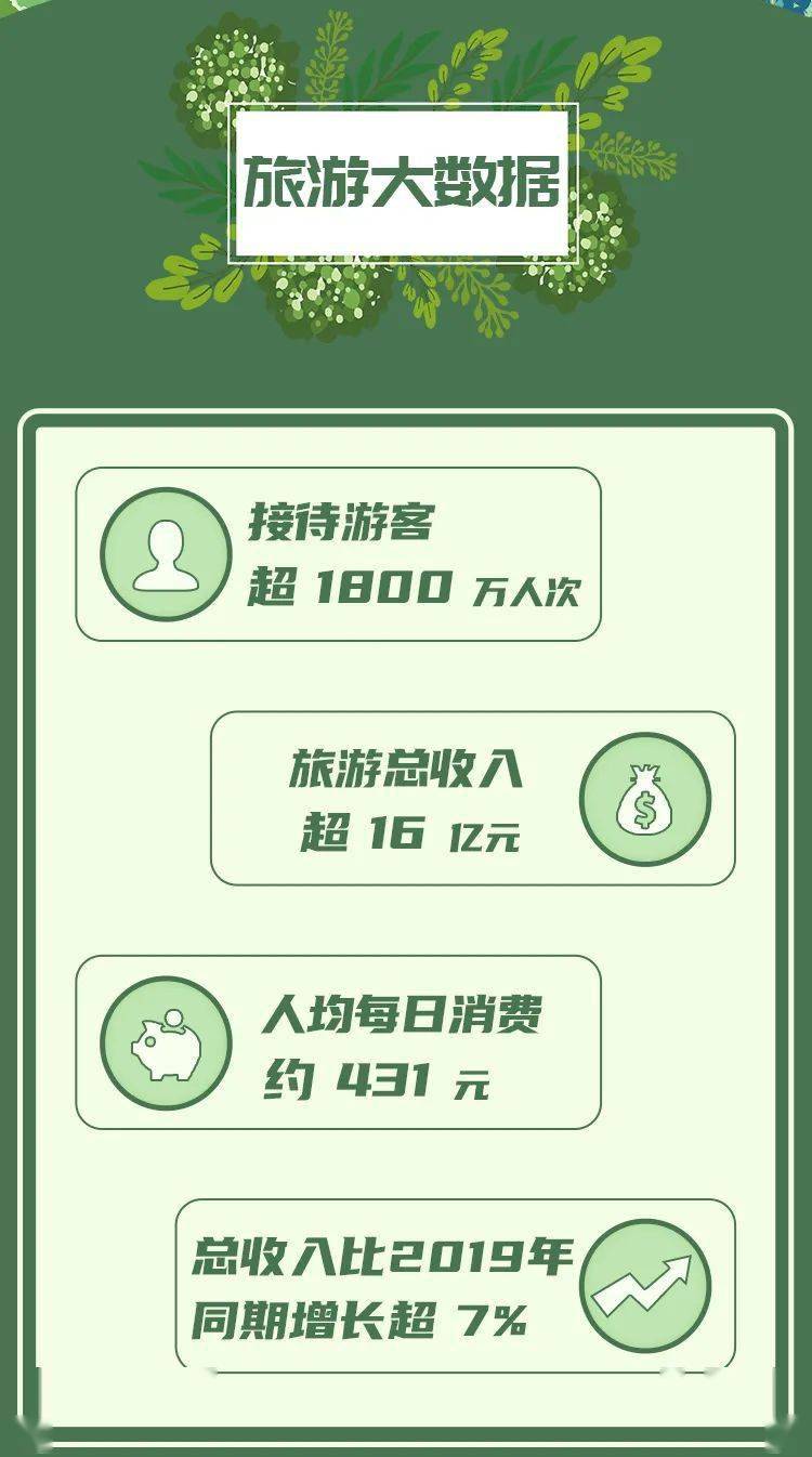 美国最新枪击案深度剖析与观点阐述，揭示悲剧背后的真相与反思
