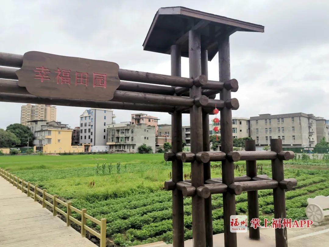 长乐最新招聘信息，时代的脉搏与就业的航标导航