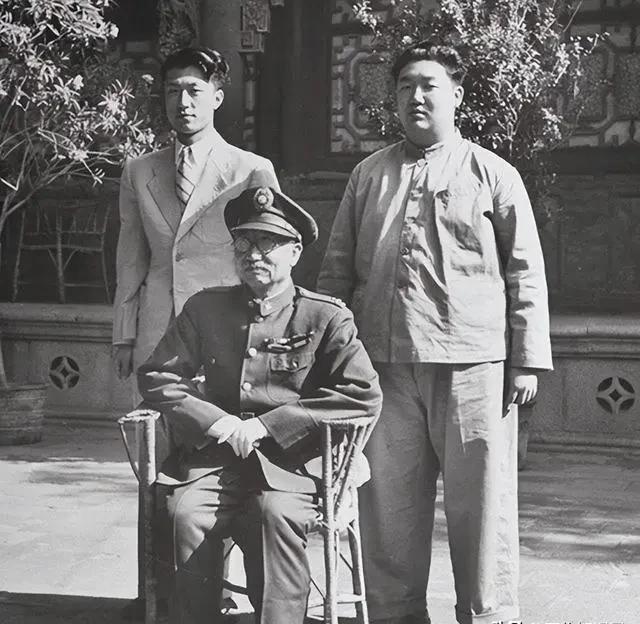 时代印记与文化回响，最新电影的魅力与风采
