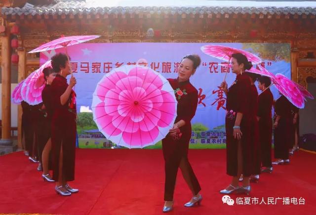 春英广场舞最新现象，深入人心的文化表达风采