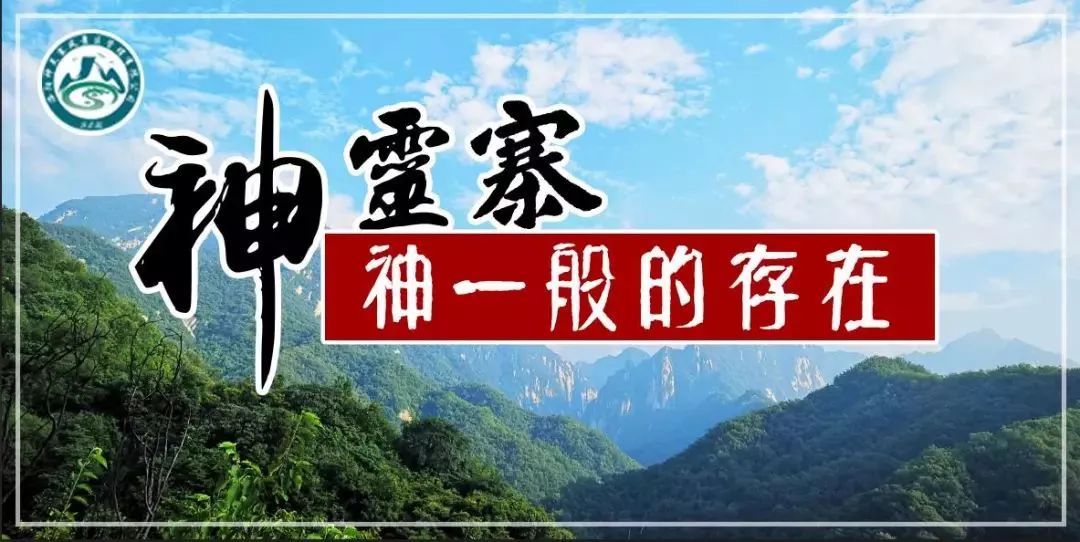 第320页