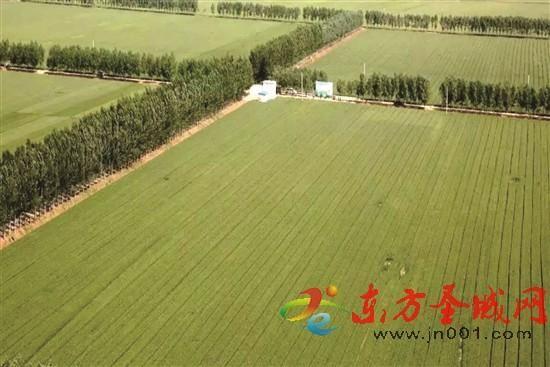 汶上最新招聘，变化带来自信，学习铸就未来之路