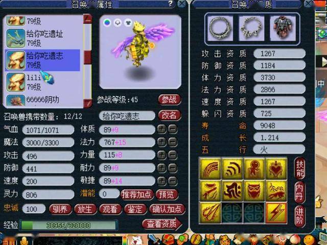 梦幻西游启程新征程，最新公告揭示变化与自信成就之路