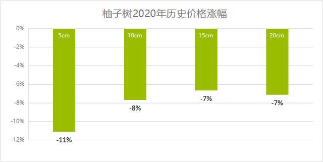 柚子最新价格概览，市场走势与观点分析