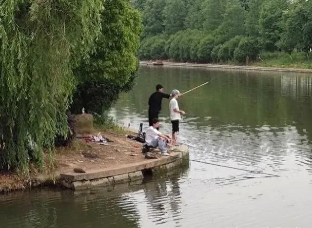 圈圈大作战最新版下载，策略与合作的巅峰较量