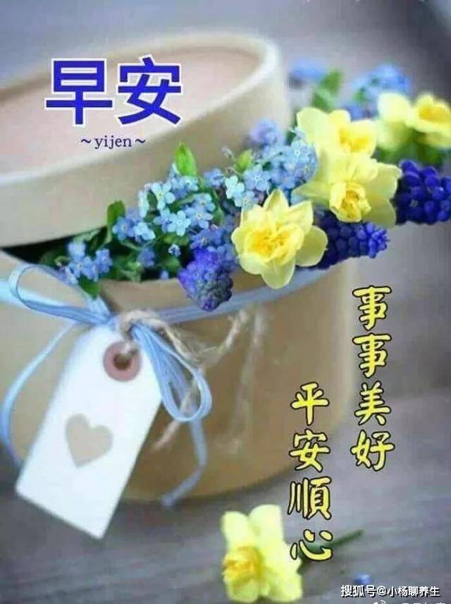 邓伦金晨，美好时光中的友情与温馨日常
